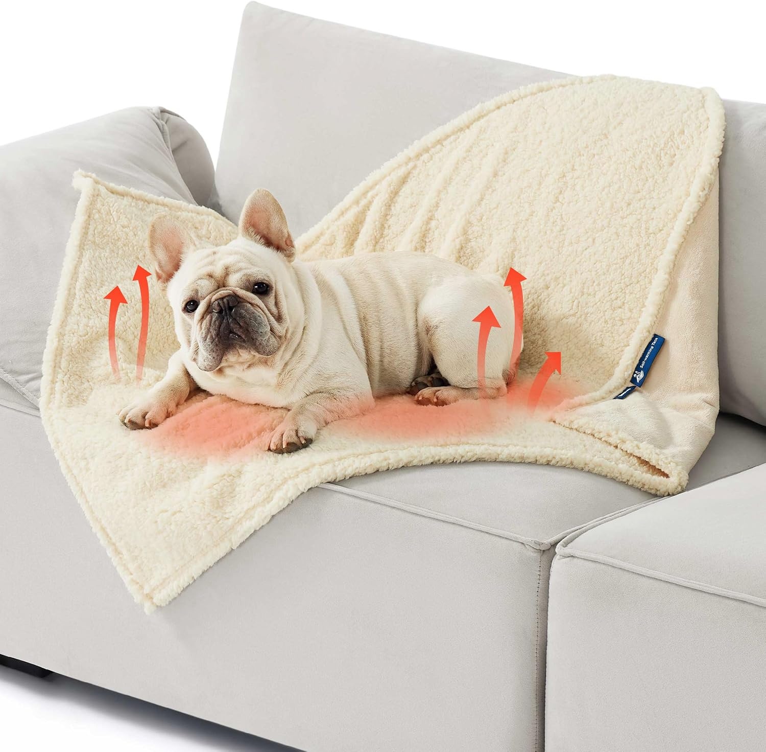 image:imageBedsure Waterproof Dog Blankets for Small Dogs 25X35 Anchor Gray Soft Print Sherpa Fleece Puppy Cat Blanket Washable Cozy Plush Reversible Throw Furniture Protector for Pet Kitten DoggyAntique Whiteself Warming
