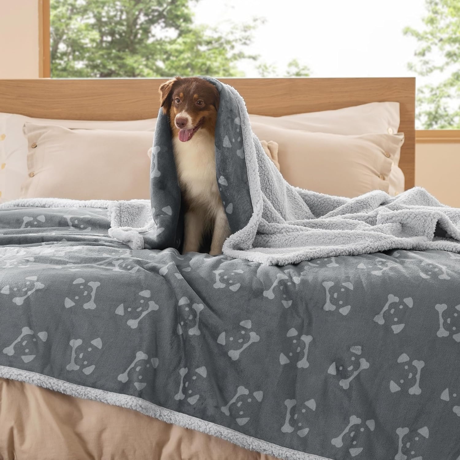 image:imageBedsure Waterproof Dog Blankets for Small Dogs 25X35 Anchor Gray Soft Print Sherpa Fleece Puppy Cat Blanket Washable Cozy Plush Reversible Throw Furniture Protector for Pet Kitten DoggyAnchor Graydog