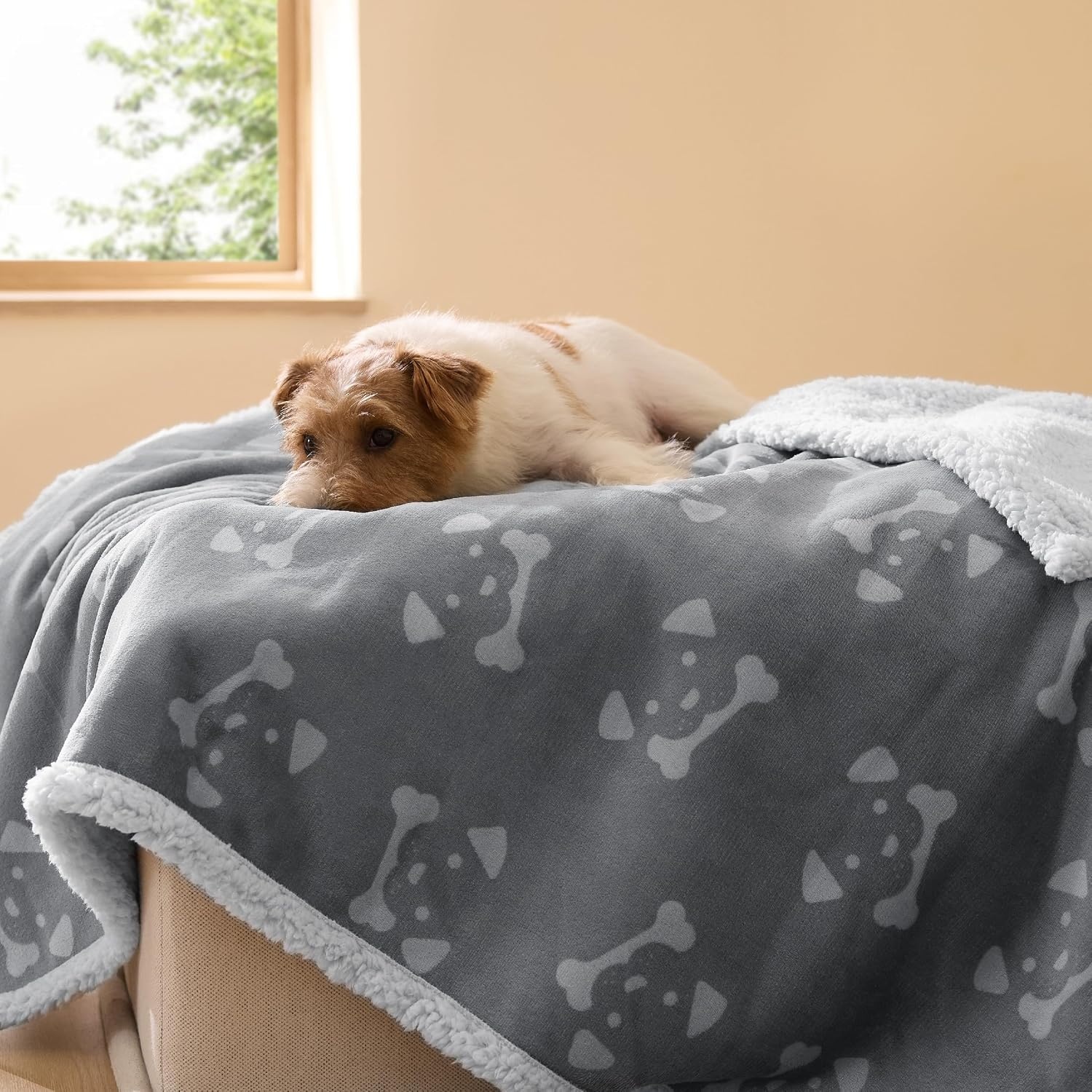 image:imageBedsure Waterproof Dog Blankets for Small Dogs 25X35 Anchor Gray Soft Print Sherpa Fleece Puppy Cat Blanket Washable Cozy Plush Reversible Throw Furniture Protector for Pet Kitten DoggyAnchor Graydog