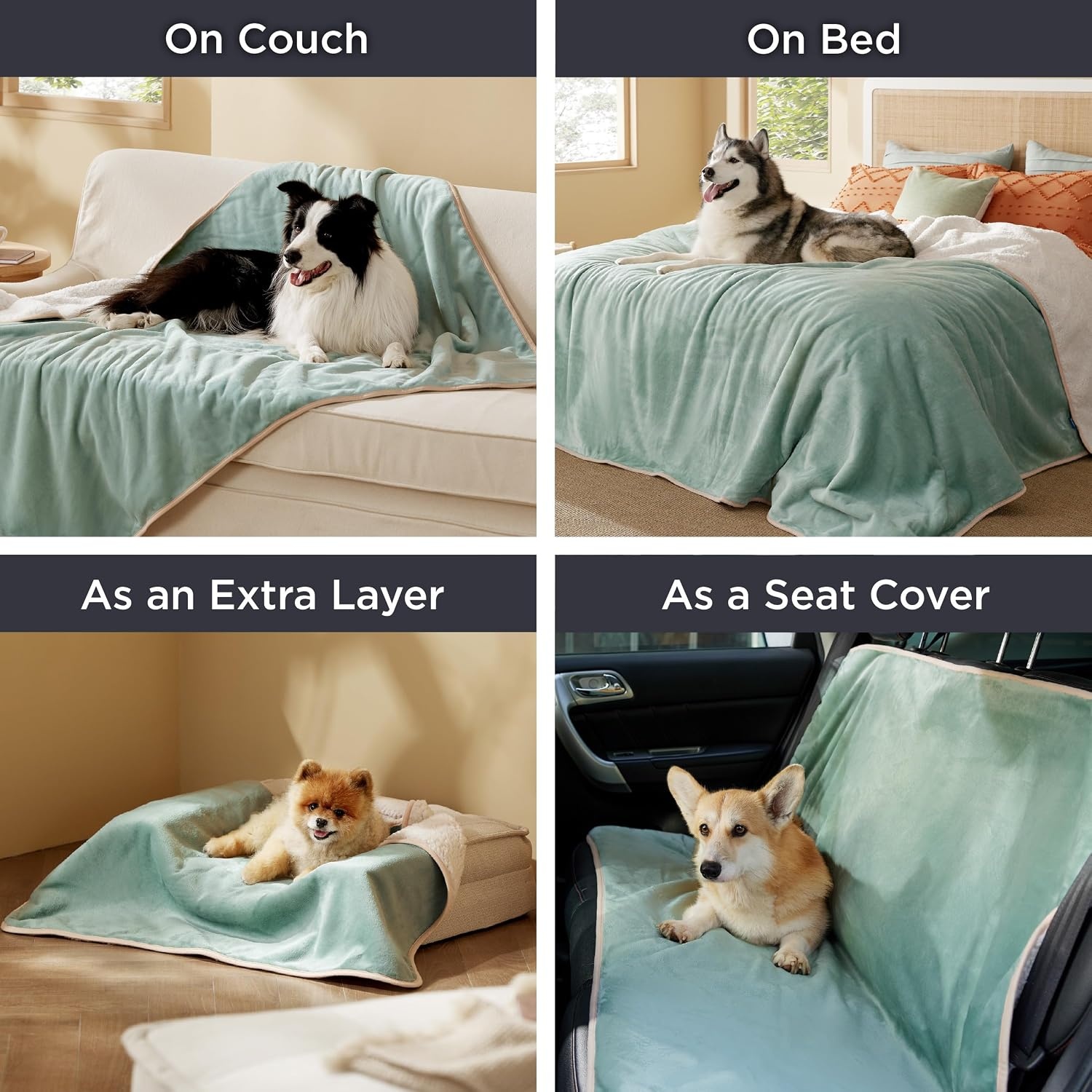 image:imageBedsure Waterproof Dog Blankets for Small Dogs 25X35 Anchor Gray Soft Print Sherpa Fleece Puppy Cat Blanket Washable Cozy Plush Reversible Throw Furniture Protector for Pet Kitten DoggyLight Green