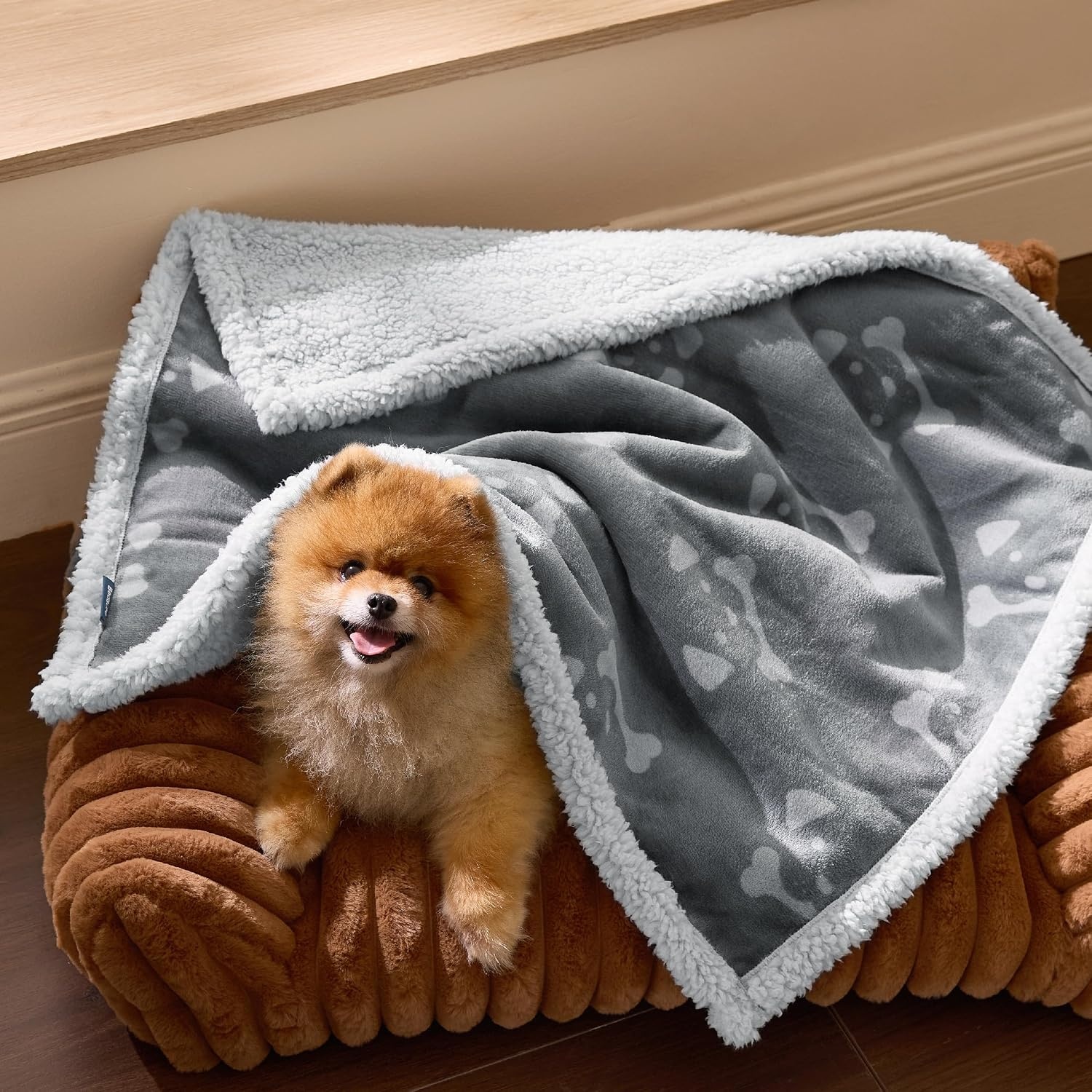 image:imageBedsure Waterproof Dog Blankets for Small Dogs 25X35 Anchor Gray Soft Print Sherpa Fleece Puppy Cat Blanket Washable Cozy Plush Reversible Throw Furniture Protector for Pet Kitten DoggyAnchor Graydog