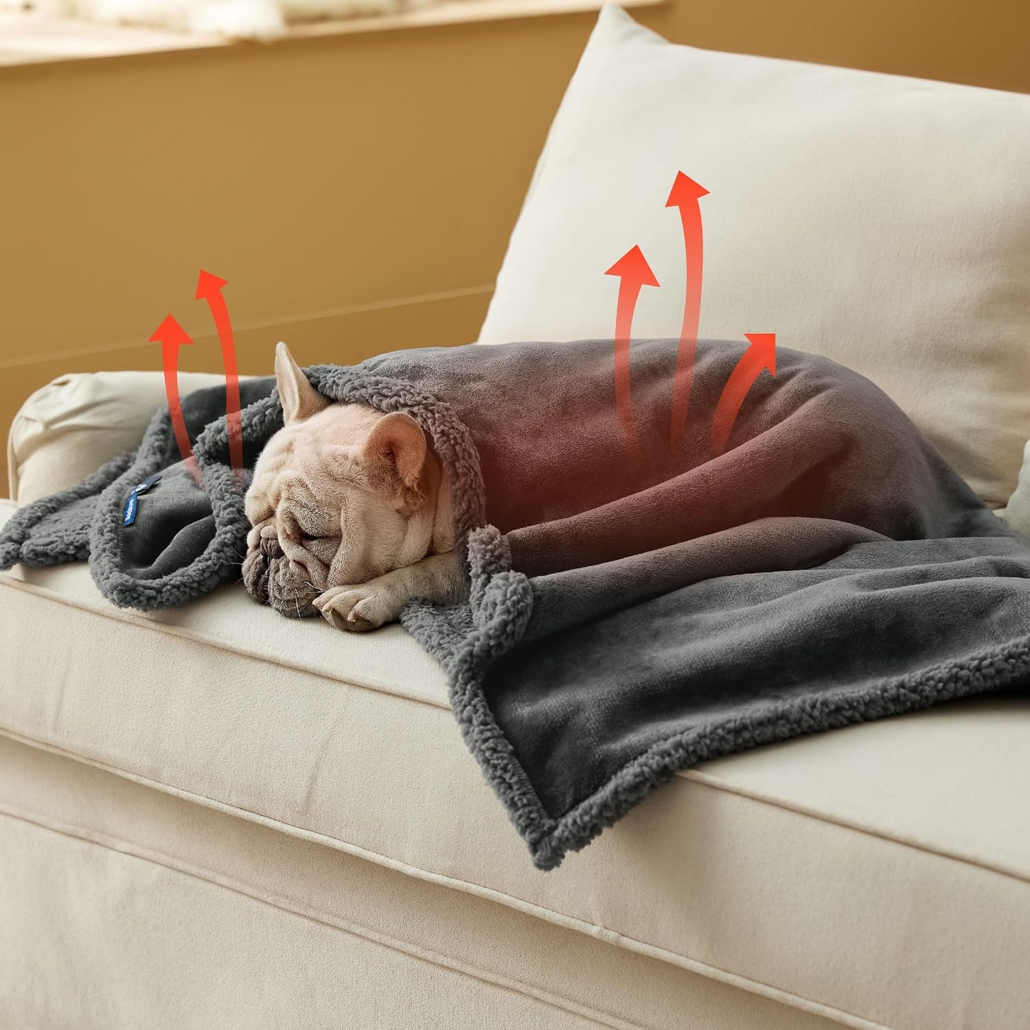 image:imageBedsure Waterproof Dog Blankets for Small Dogs 25X35 Anchor Gray Soft Print Sherpa Fleece Puppy Cat Blanket Washable Cozy Plush Reversible Throw Furniture Protector for Pet Kitten DoggyAnthracite Greyself Warming