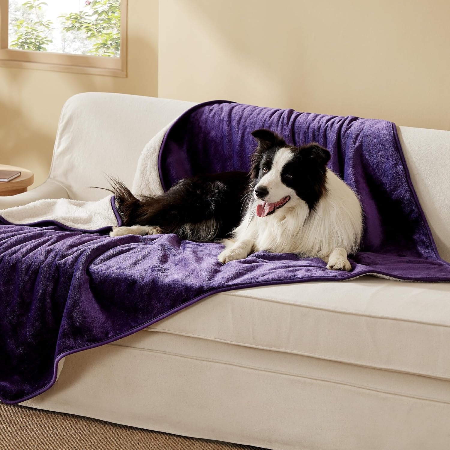 image:imageBedsure Waterproof Dog Blankets for Small Dogs 25X35 Anchor Gray Soft Print Sherpa Fleece Puppy Cat Blanket Washable Cozy Plush Reversible Throw Furniture Protector for Pet Kitten DoggyEggplant