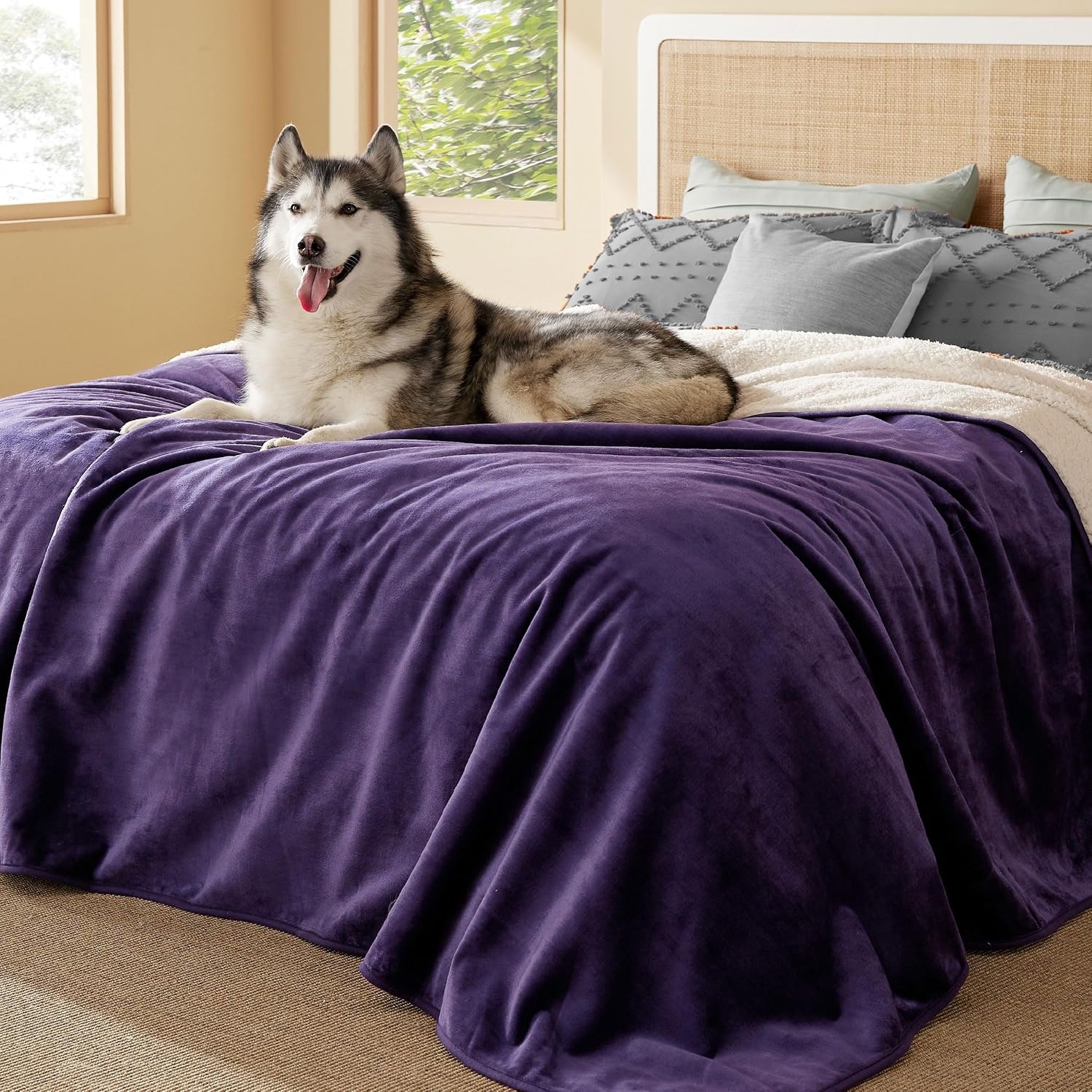 image:imageBedsure Waterproof Dog Blankets for Small Dogs 25X35 Anchor Gray Soft Print Sherpa Fleece Puppy Cat Blanket Washable Cozy Plush Reversible Throw Furniture Protector for Pet Kitten DoggyEggplant