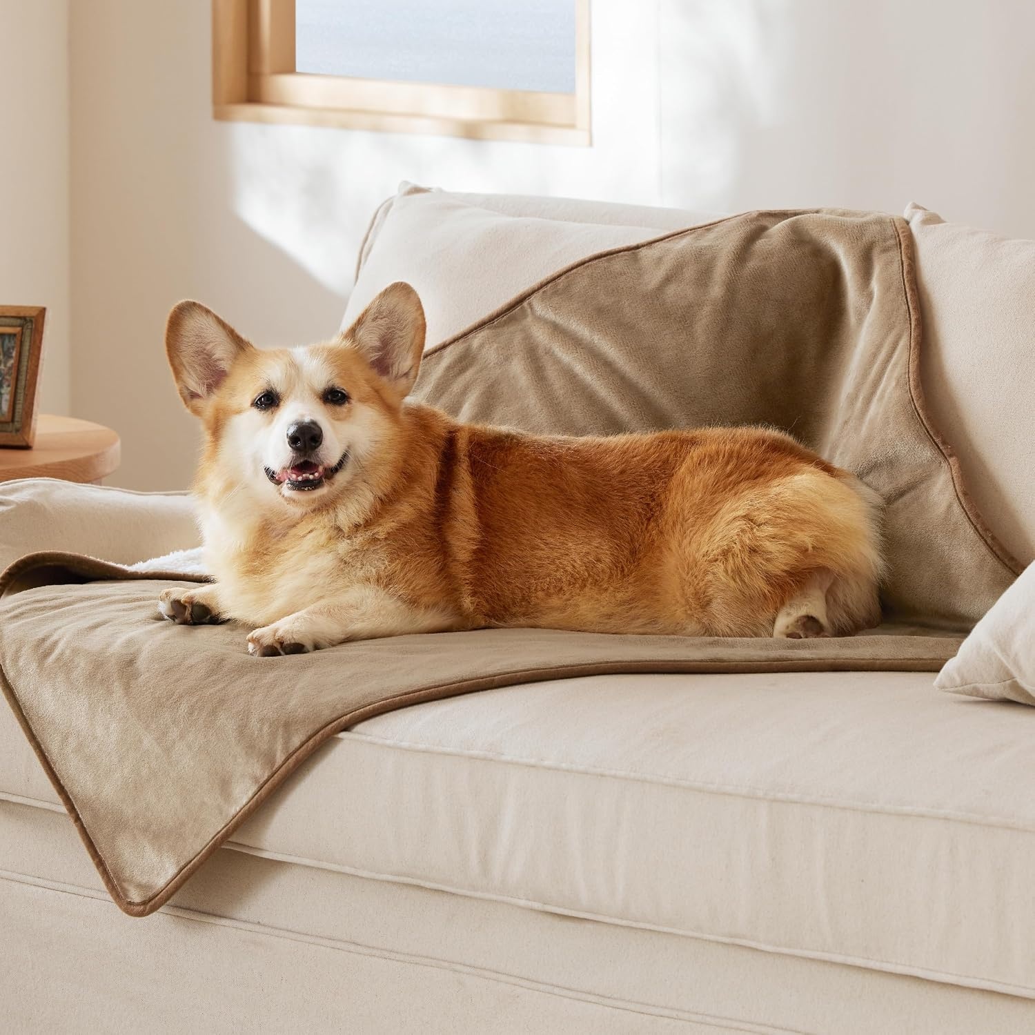 image:imageBedsure Waterproof Dog Blankets for Small Dogs 25X35 Anchor Gray Soft Print Sherpa Fleece Puppy Cat Blanket Washable Cozy Plush Reversible Throw Furniture Protector for Pet Kitten DoggyCamel