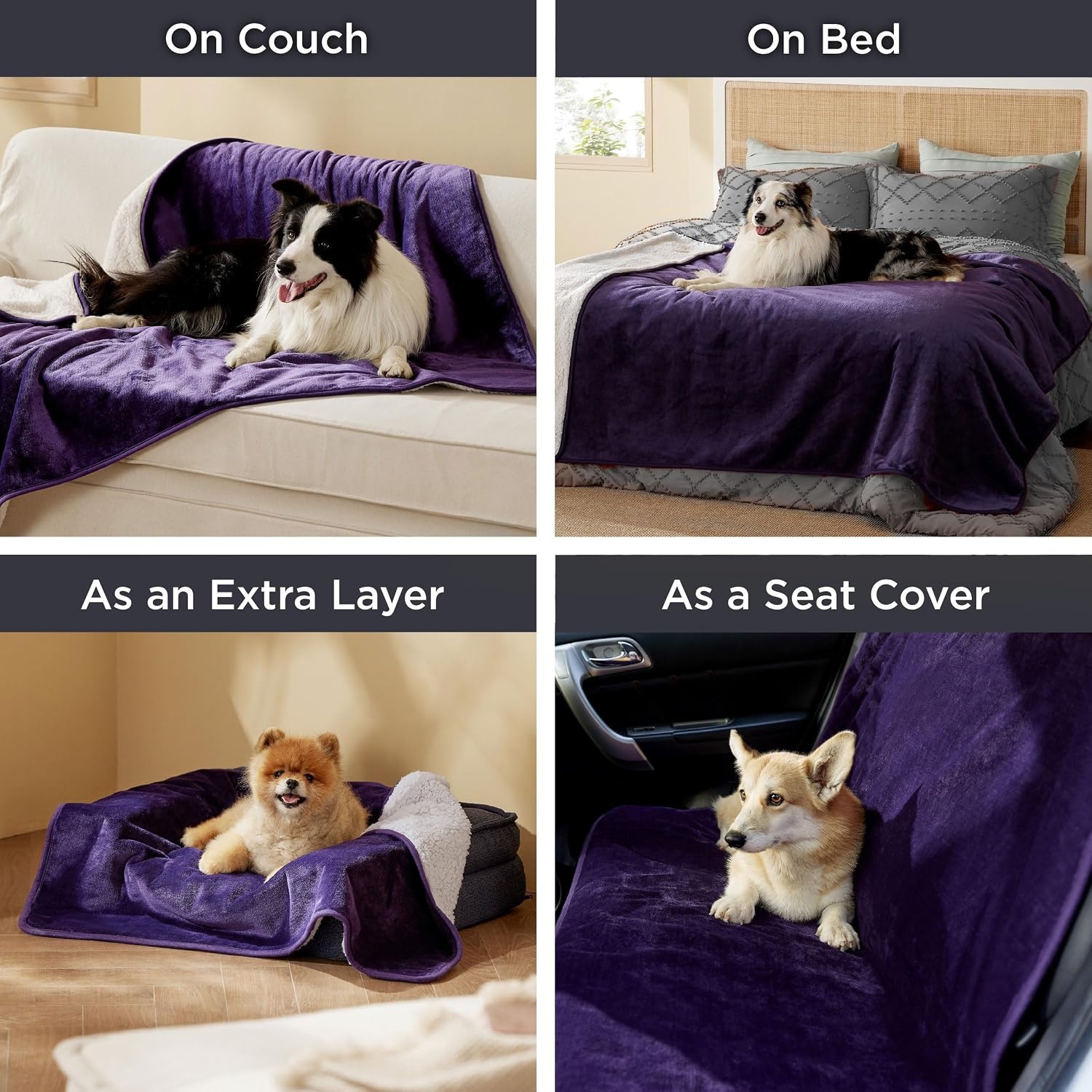 image:imageBedsure Waterproof Dog Blankets for Small Dogs 25X35 Anchor Gray Soft Print Sherpa Fleece Puppy Cat Blanket Washable Cozy Plush Reversible Throw Furniture Protector for Pet Kitten DoggyEggplant