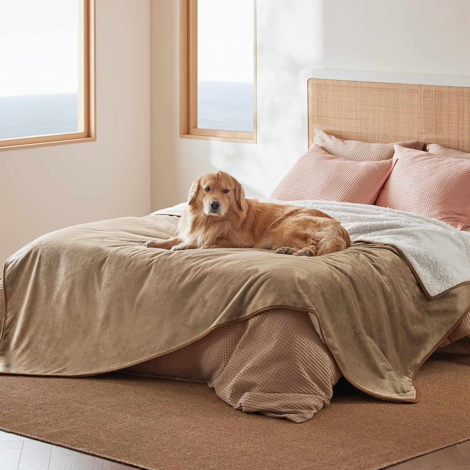 image:imageBedsure Waterproof Dog Blankets for Small Dogs 25X35 Anchor Gray Soft Print Sherpa Fleece Puppy Cat Blanket Washable Cozy Plush Reversible Throw Furniture Protector for Pet Kitten DoggyCamel
