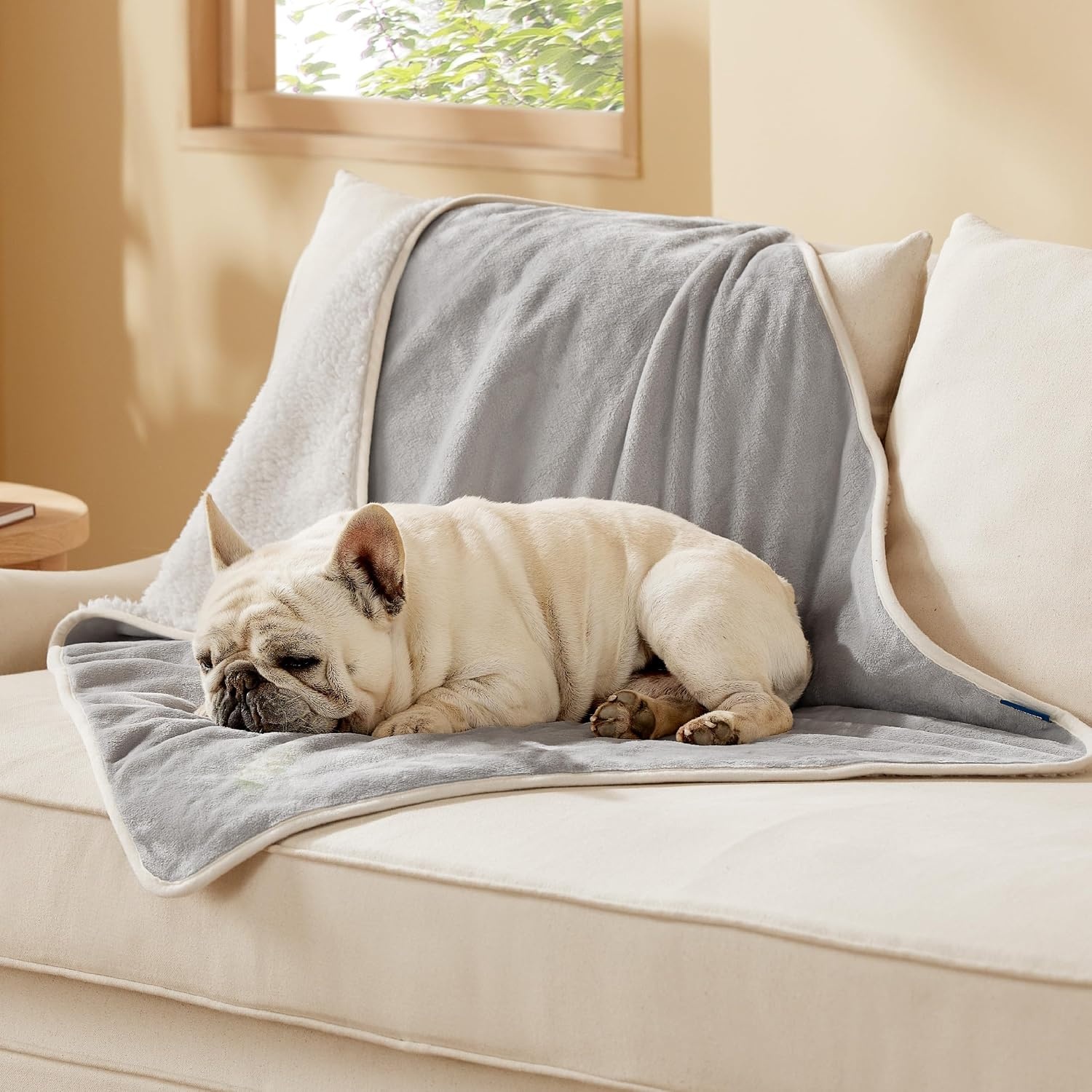 image:imageBedsure Waterproof Dog Blankets for Small Dogs 25X35 Anchor Gray Soft Print Sherpa Fleece Puppy Cat Blanket Washable Cozy Plush Reversible Throw Furniture Protector for Pet Kitten DoggyLight Grey