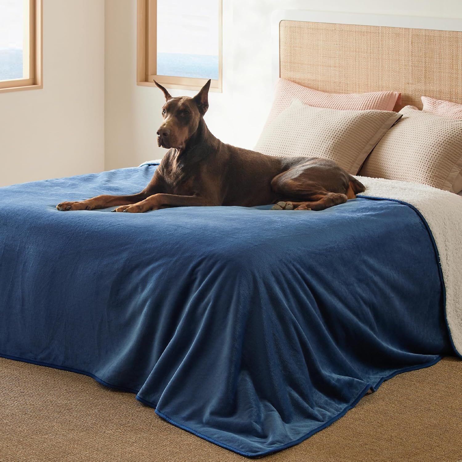 image:imageBedsure Waterproof Dog Blankets for Small Dogs 25X35 Anchor Gray Soft Print Sherpa Fleece Puppy Cat Blanket Washable Cozy Plush Reversible Throw Furniture Protector for Pet Kitten DoggyBlue