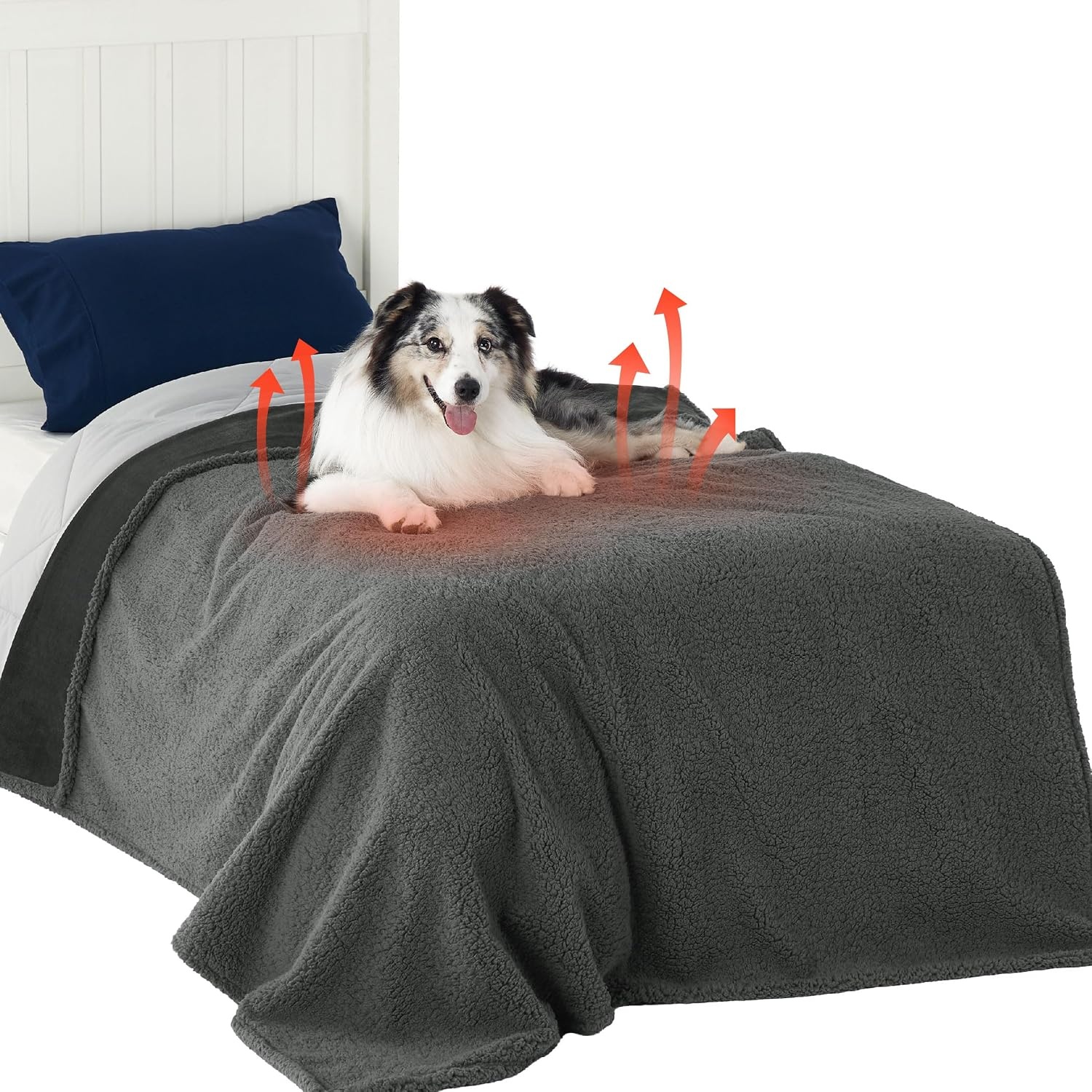 image:imageBedsure Waterproof Dog Blankets for Small Dogs 25X35 Anchor Gray Soft Print Sherpa Fleece Puppy Cat Blanket Washable Cozy Plush Reversible Throw Furniture Protector for Pet Kitten DoggyAnthracite Greyself Warming