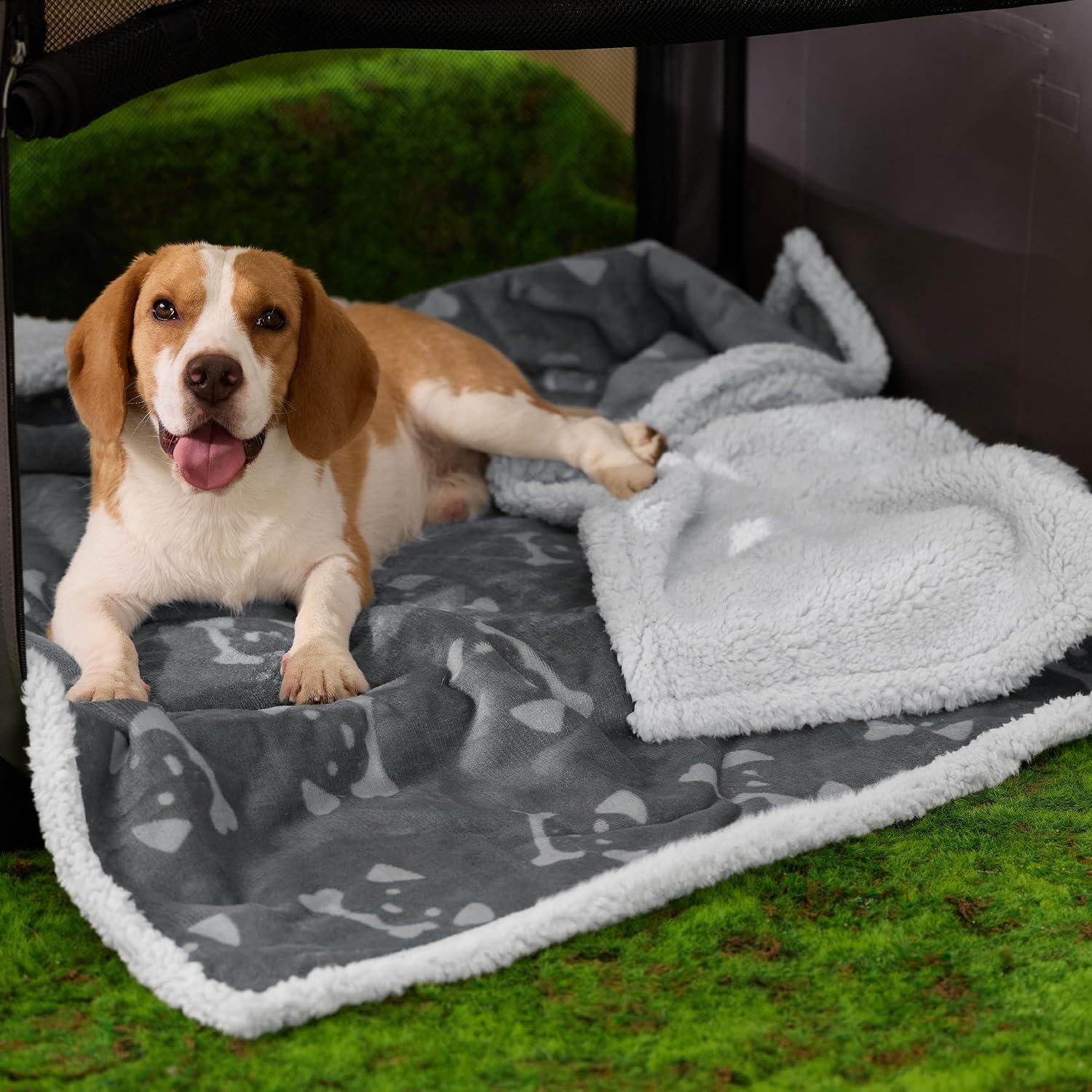 image:imageBedsure Waterproof Dog Blankets for Small Dogs 25X35 Anchor Gray Soft Print Sherpa Fleece Puppy Cat Blanket Washable Cozy Plush Reversible Throw Furniture Protector for Pet Kitten DoggyAnchor Graydog