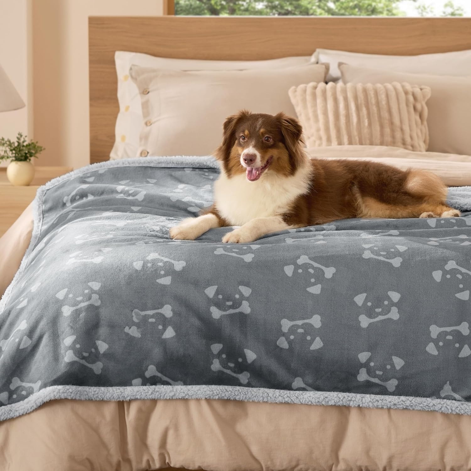 image:imageBedsure Waterproof Dog Blankets for Small Dogs 25X35 Anchor Gray Soft Print Sherpa Fleece Puppy Cat Blanket Washable Cozy Plush Reversible Throw Furniture Protector for Pet Kitten DoggyAnchor Graydog