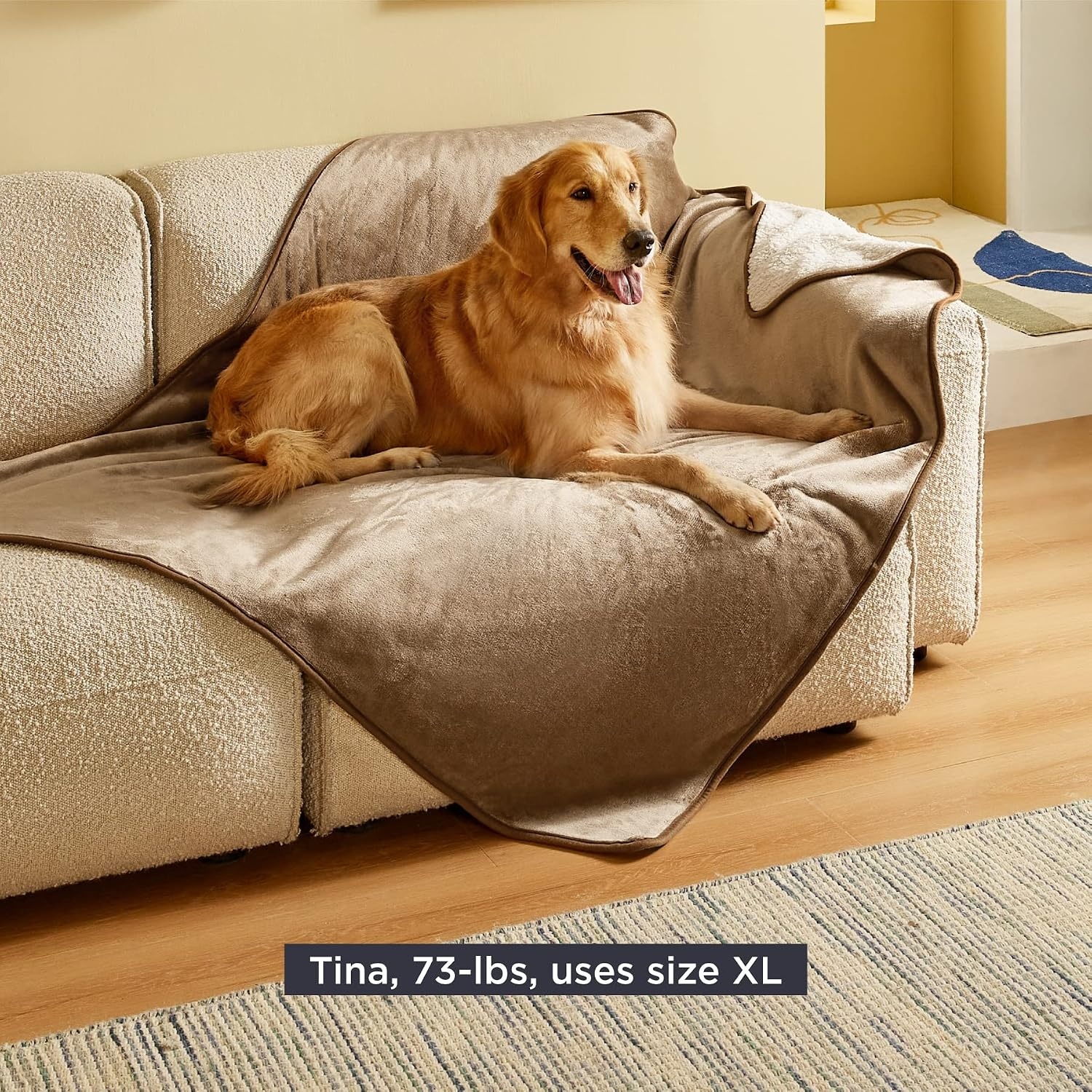 image:imageBedsure Waterproof Dog Blankets for Small Dogs 25X35 Anchor Gray Soft Print Sherpa Fleece Puppy Cat Blanket Washable Cozy Plush Reversible Throw Furniture Protector for Pet Kitten DoggyCamel
