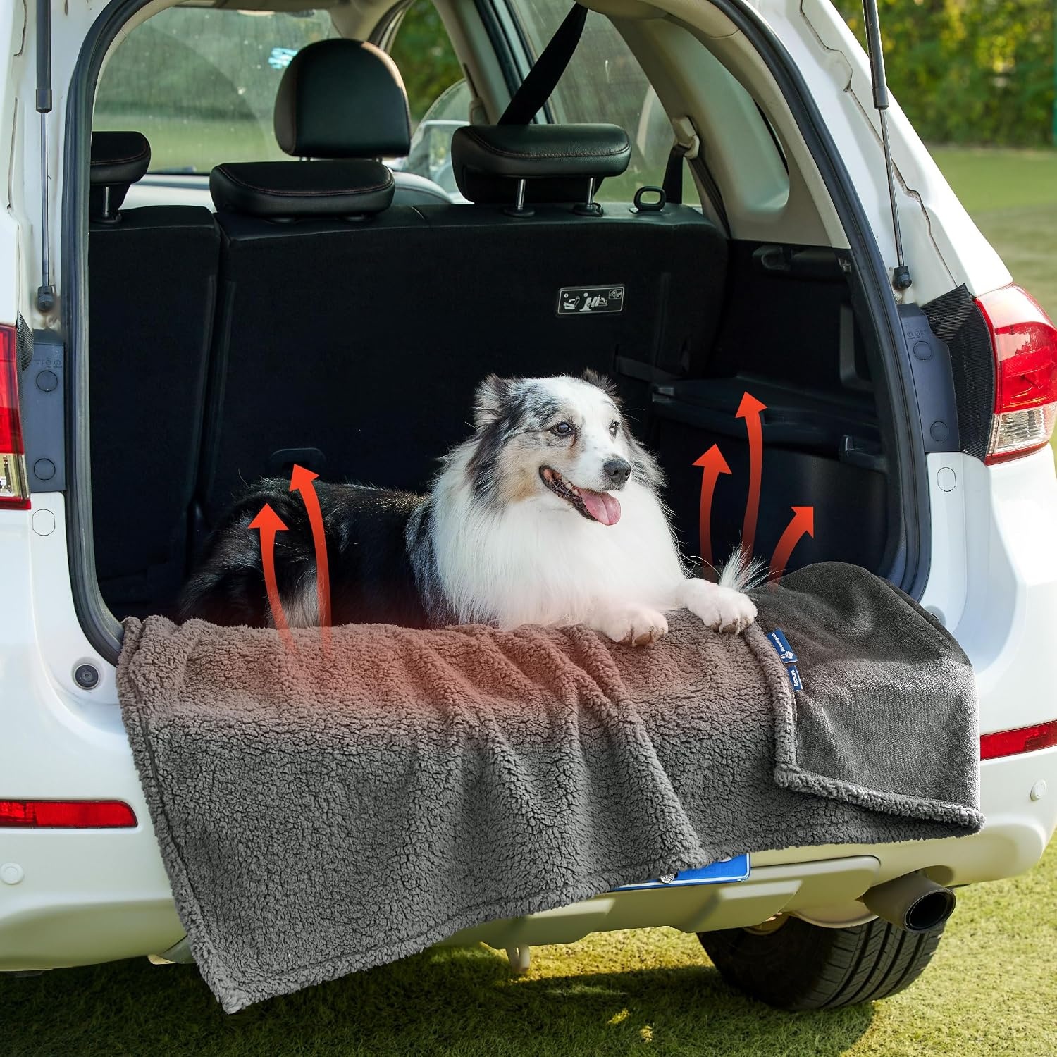 image:imageBedsure Waterproof Dog Blankets for Small Dogs 25X35 Anchor Gray Soft Print Sherpa Fleece Puppy Cat Blanket Washable Cozy Plush Reversible Throw Furniture Protector for Pet Kitten DoggyAnthracite Greyself Warming