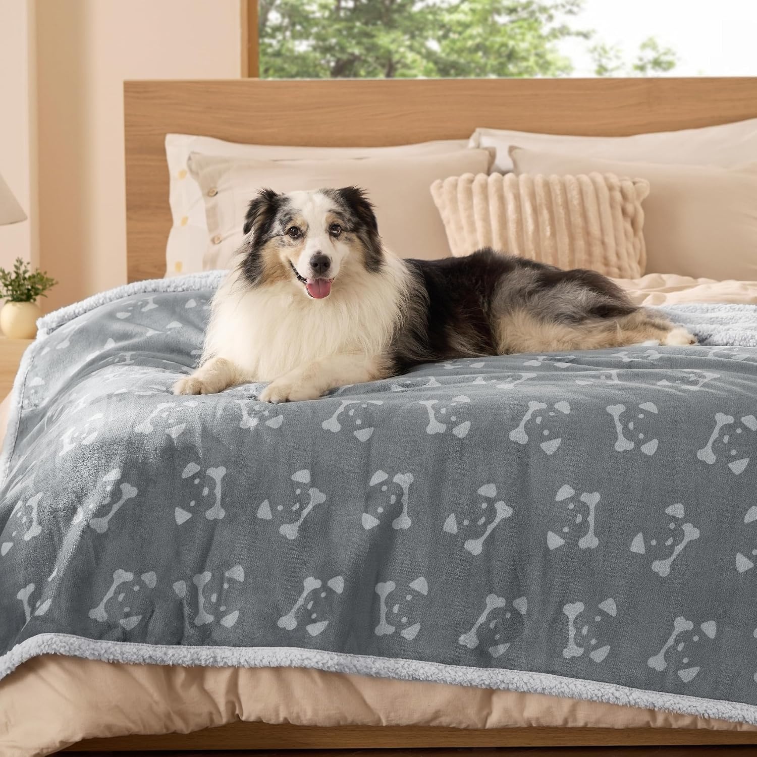 image:imageBedsure Waterproof Dog Blankets for Small Dogs 25X35 Anchor Gray Soft Print Sherpa Fleece Puppy Cat Blanket Washable Cozy Plush Reversible Throw Furniture Protector for Pet Kitten DoggyAnchor Graydog