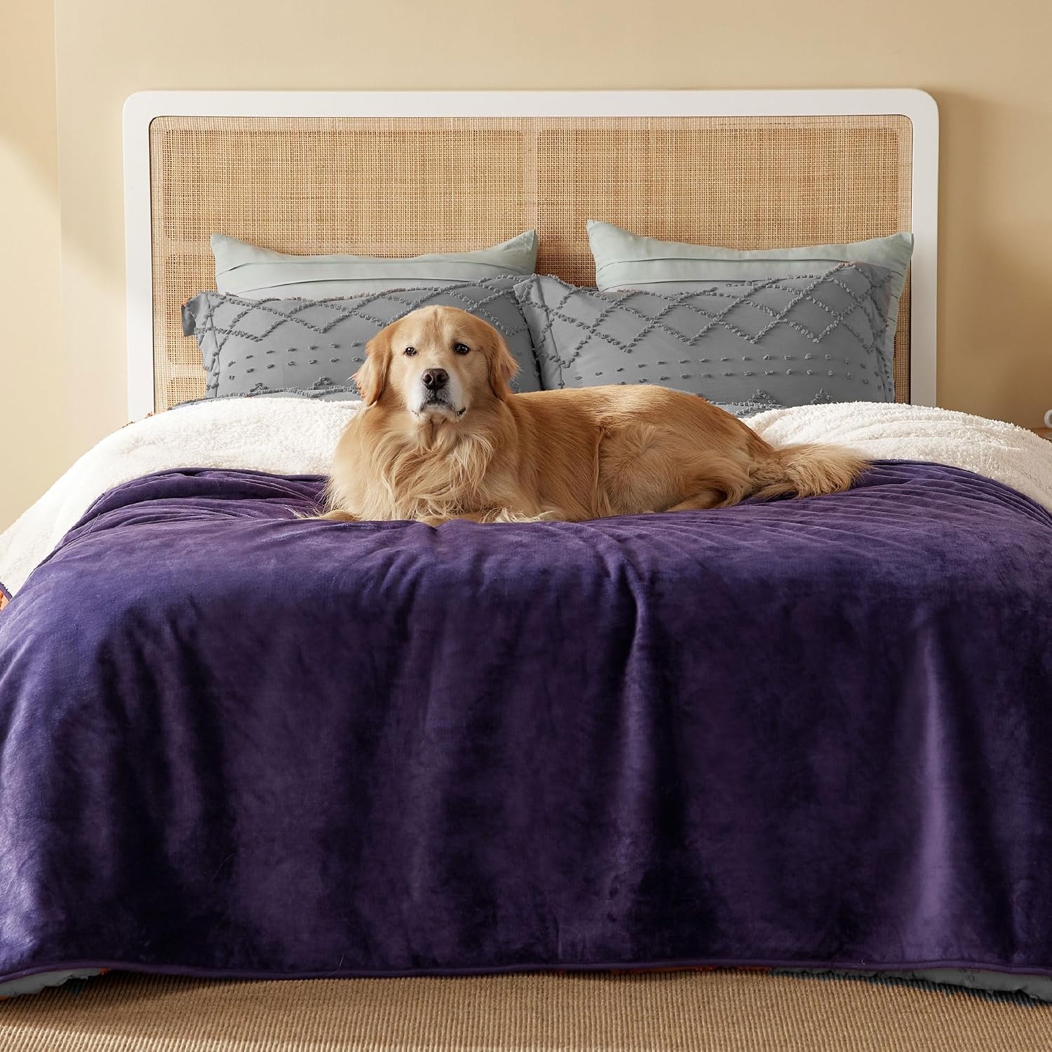 image:imageBedsure Waterproof Dog Blankets for Small Dogs 25X35 Anchor Gray Soft Print Sherpa Fleece Puppy Cat Blanket Washable Cozy Plush Reversible Throw Furniture Protector for Pet Kitten DoggyEggplant