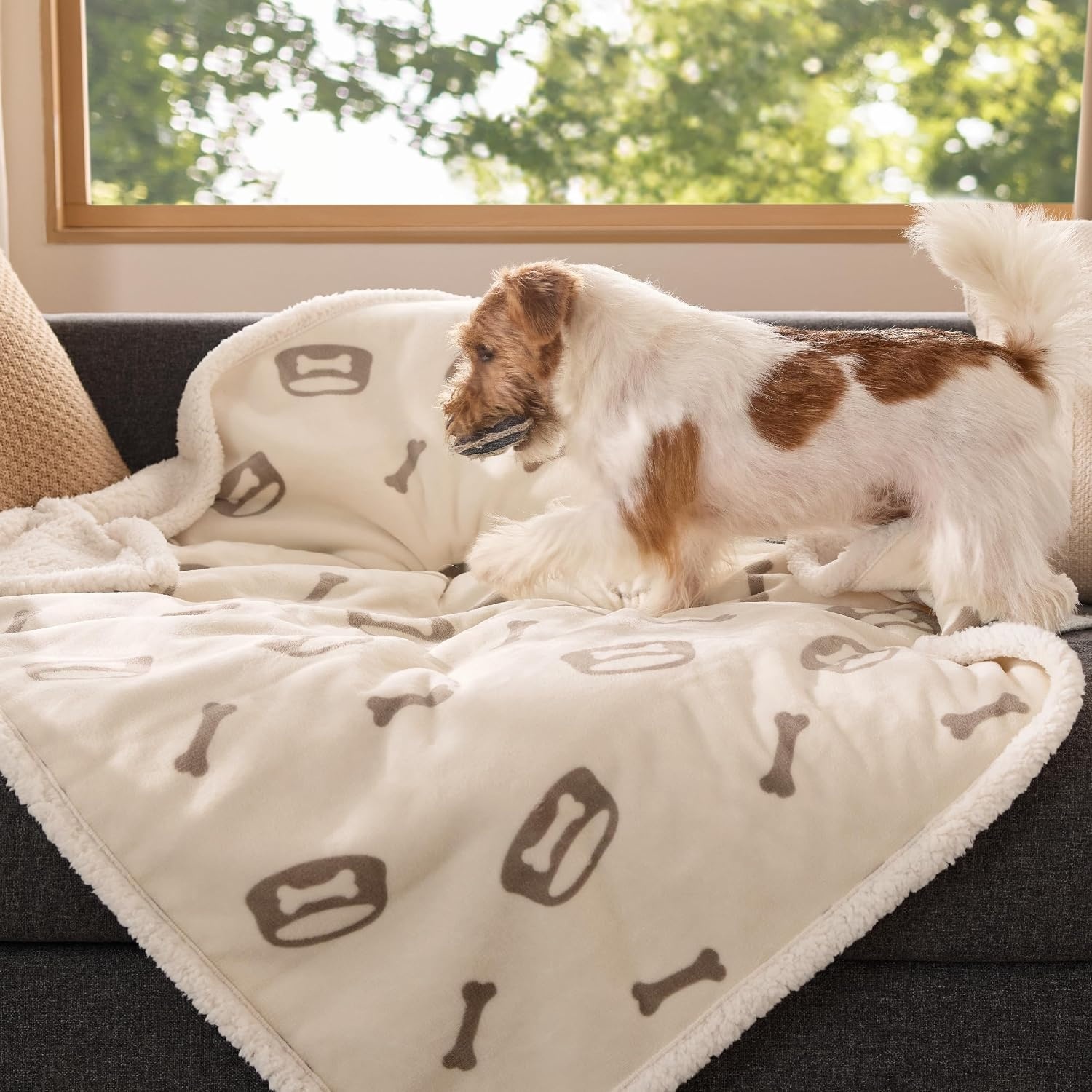 image:imageBedsure Waterproof Dog Blankets for Small Dogs 25X35 Anchor Gray Soft Print Sherpa Fleece Puppy Cat Blanket Washable Cozy Plush Reversible Throw Furniture Protector for Pet Kitten DoggyBeigebone