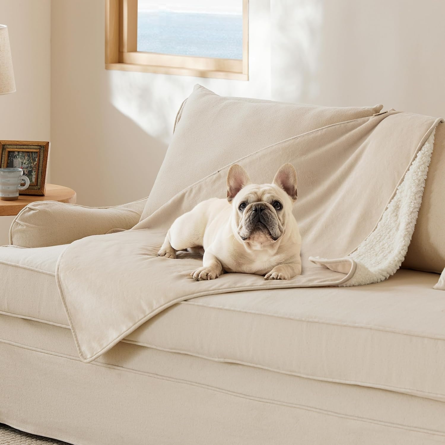 image:imageBedsure Waterproof Dog Blankets for Small Dogs 25X35 Anchor Gray Soft Print Sherpa Fleece Puppy Cat Blanket Washable Cozy Plush Reversible Throw Furniture Protector for Pet Kitten DoggyCream