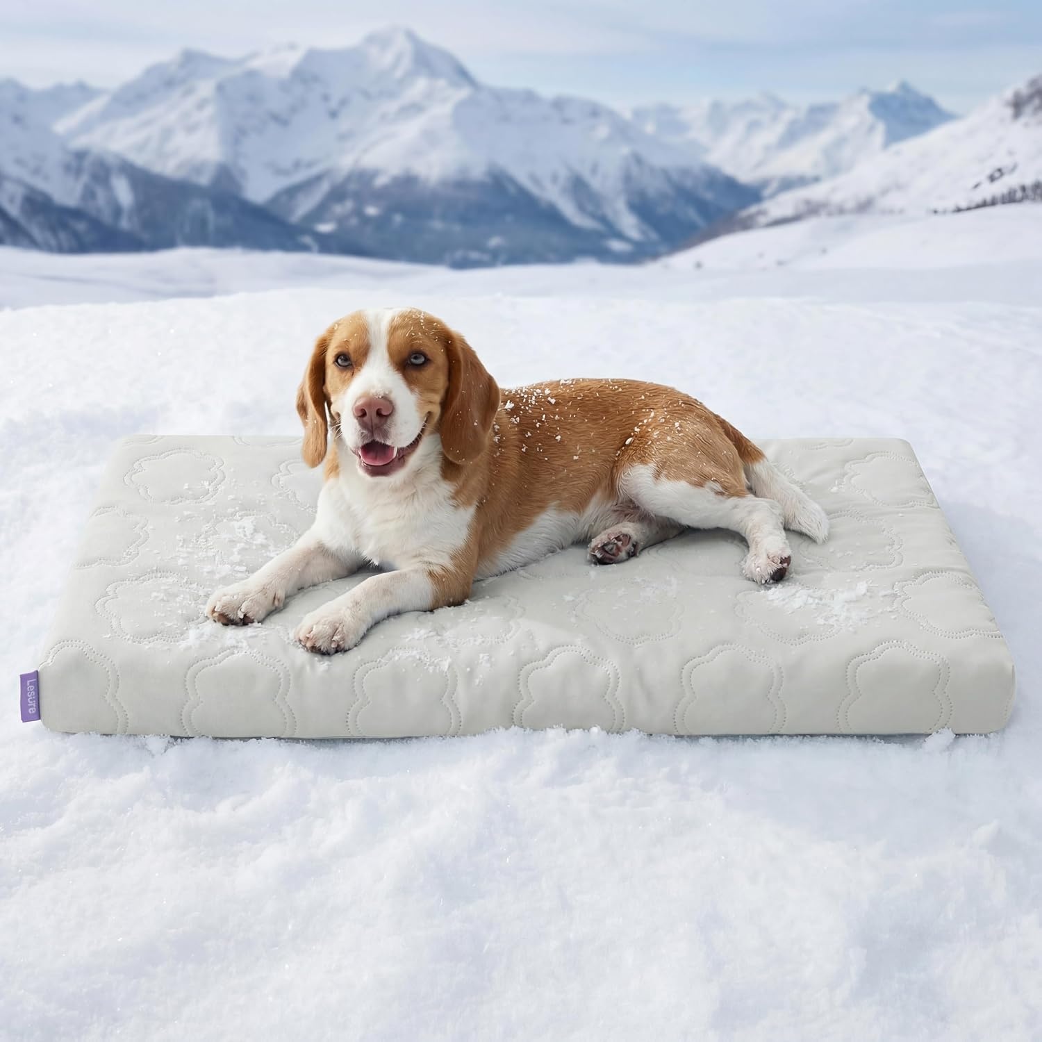 image:imageLE SURE ApexCloud Cooling Dog Bed for Large Dogs with Washable Cover35IN QMaxgt05 CoolTouch Fabric Orthopedic Egg Crate FoamBreathable NonSlip Summer MatFor Active Senior LongHaired PetsBlueCooling Gray