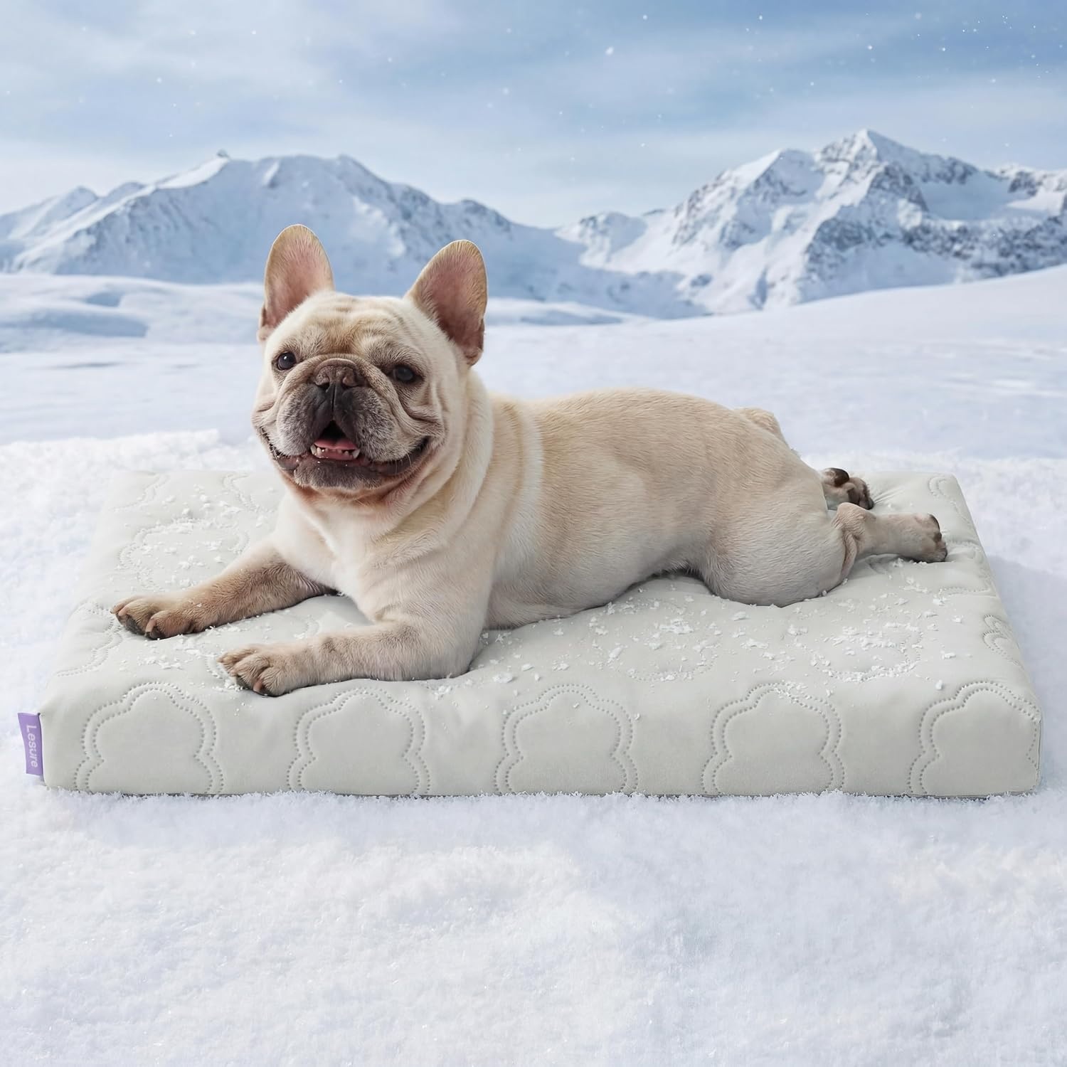 image:imageLE SURE ApexCloud Cooling Dog Bed for Large Dogs with Washable Cover35IN QMaxgt05 CoolTouch Fabric Orthopedic Egg Crate FoamBreathable NonSlip Summer MatFor Active Senior LongHaired PetsBlueCooling Gray