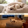 Bedsure Human Dog Bed for Adult, Plush Giant Calming Nest Bed Orthopedic | 71″ Human Size Dog Bed Washable with Storage Pocket, Supportive Bolster, Egg Foam, Non-Slip Bottom, Fluffy Faux Fur, Brown(Camel)