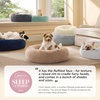 Bedsure Human Dog Bed for Adult, Plush Giant Calming Nest Bed Orthopedic | 71″ Human Size Dog Bed Washable with Storage Pocket, Supportive Bolster, Egg Foam, Non-Slip Bottom, Fluffy Faux Fur, Brown(Frost Grey)
