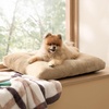 Bedsure Washable XL Dog Bed for Crate, Comfort Fluffy Pet Pillow, 41×27 | Plush Kennel Pad, Ultra Soft PP Cotton, Non-Slip Bottom, Machine Washable Pet Sleeping Mat, Dark Gray(Brown)
