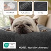 Bedsure Washable XL Dog Bed for Crate, Comfort Fluffy Pet Pillow, 41×27 | Plush Kennel Pad, Ultra Soft PP Cotton, Non-Slip Bottom, Machine Washable Pet Sleeping Mat, Dark Gray(Dark Gray)