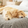 Bedsure Waterproof Dog Blankets for Bed – Pet Blanket for Bed Couch Protector Washable, Jacquard Coral Fleece Cat Throw Blanket, Soft Plush Reversible Furniture Protection, Queen, 86×90, Pale Oak(Pale Oak)