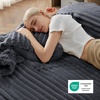 Bedsure Fluffy Duvet Cover Set – Ultra Soft Plush Shaggy Comforter Cover Queen Size, Warm Flannel Fleece Bed Sets for Winter, 3 Pieces (Striped Pattern, Forest Green)(04 – Dark Grey (No Comforter))