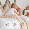Bedsure Tan Gingham Ruffle Duvet Cover Set,Vintage Farmhouse Bedding, Queen(00 – White (No Comforter))