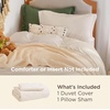 Bedsure Tan Gingham Ruffle Duvet Cover Set,Vintage Farmhouse Bedding, Queen(02 – Cream (No Comforter))