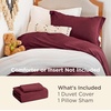 Bedsure Tan Gingham Ruffle Duvet Cover Set,Vintage Farmhouse Bedding, Queen(10 – Burgundy (No Comforter))