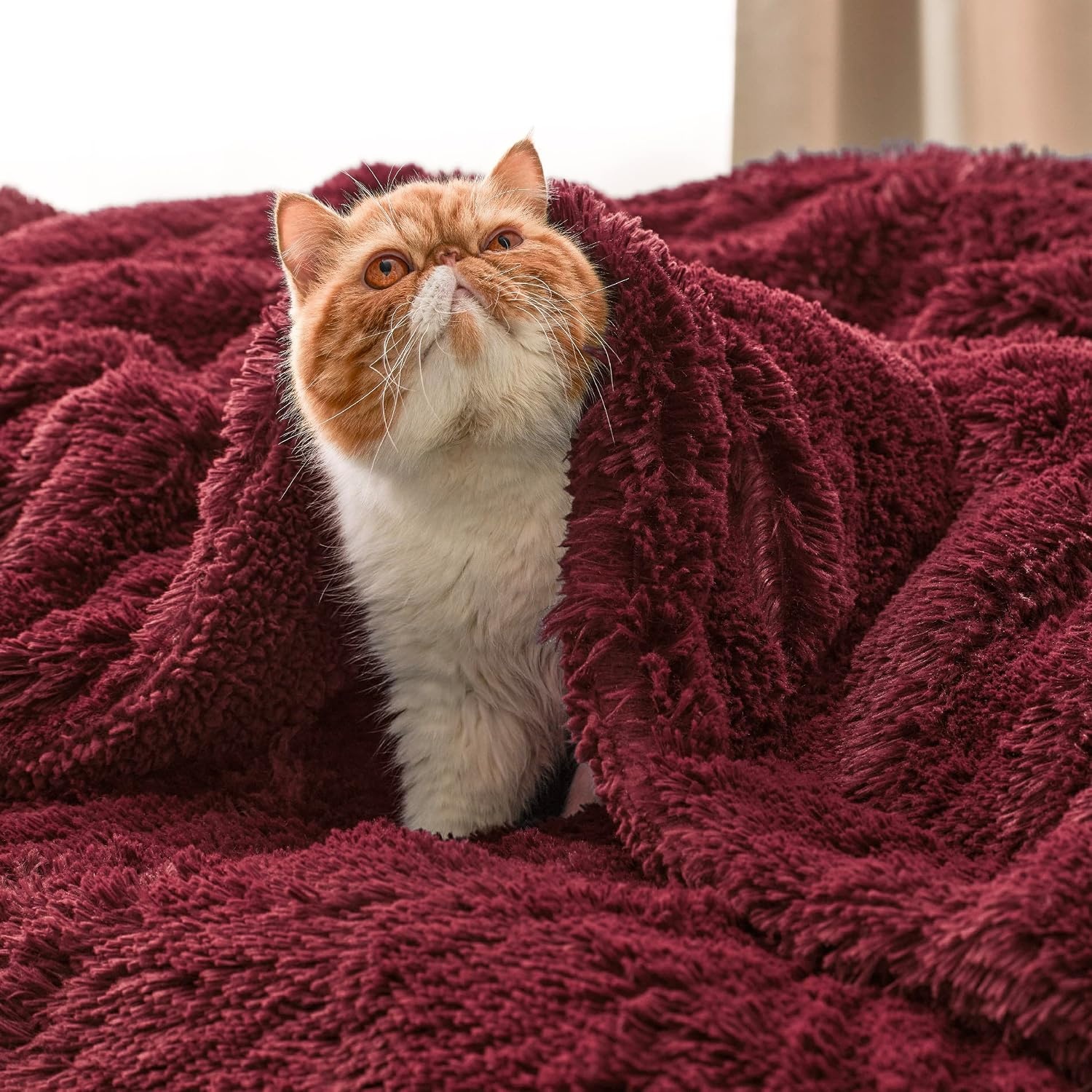 image:imageBedsure Faux Fur Fluffy Fleece Sherpa Blanket Couch Throw Grey 50x6017 Burgundy Red