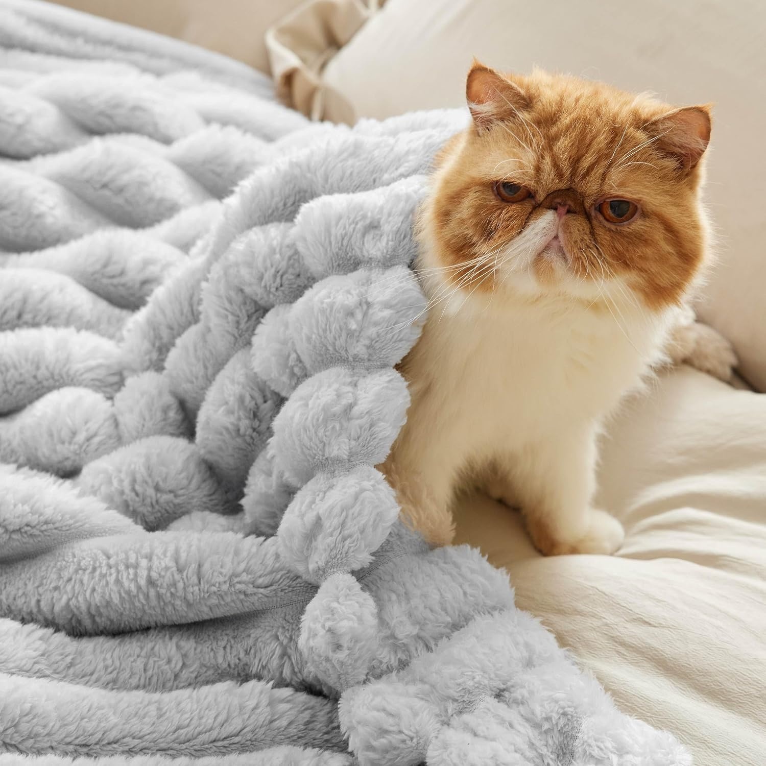 image:imageBedsure Soft Cozy Fluffy Comfort Throw Blanket for Bed White 50x6004 Light Grey