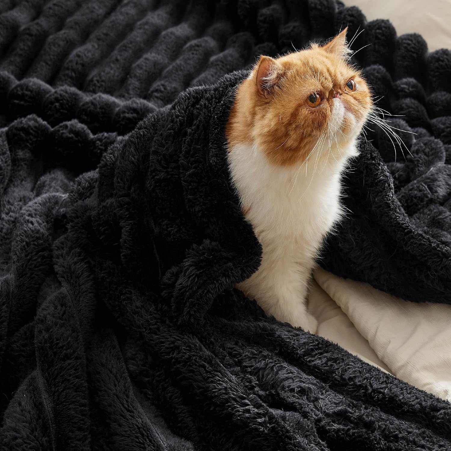 image:imageBedsure Soft Cozy Fluffy Comfort Throw Blanket for Bed White 50x6006 Black
