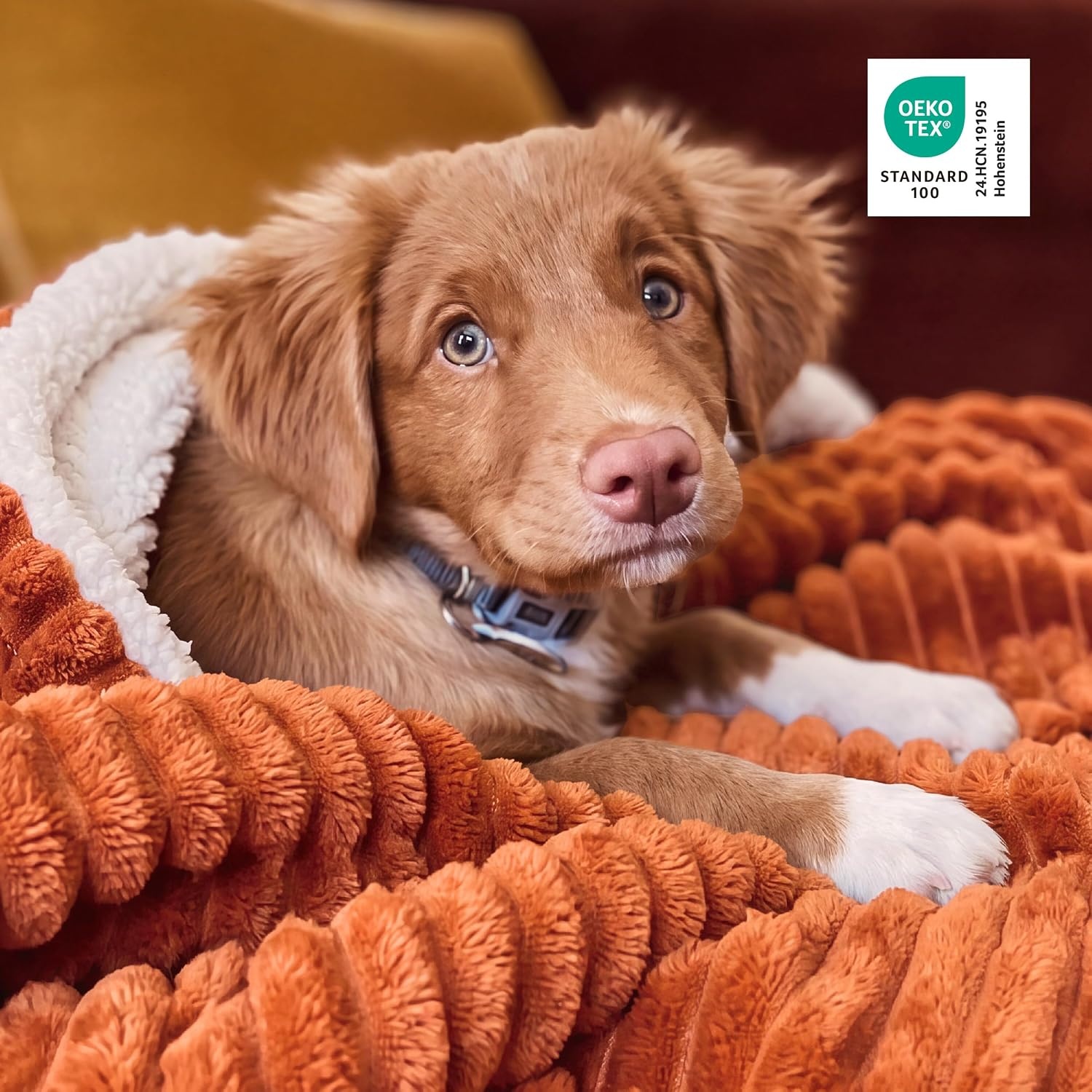 image:imageBedsure Soft Sherpa Blanket Fluffy Throw Gift Beige 50x6000 Burnt Orange