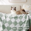 Bedsure Beige Fall Throw Blanket for Couch, Cozy Soft Checkered Blanket, Lightweight Warm Knit Fluffy Throw Blankets for Bed Sofa, Camping, Picnic, Travel, Gifts for Women Men, 50×60 Inches(09 – Checkered Green)