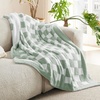 Bedsure Beige Fall Throw Blanket for Couch, Cozy Soft Checkered Blanket, Lightweight Warm Knit Fluffy Throw Blankets for Bed Sofa, Camping, Picnic, Travel, Gifts for Women Men, 50×60 Inches(09 – Checkered Green)