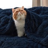 Bedsure Faux Fur Fluffy Fleece Sherpa Blanket Couch Throw Grey 50″x60″(14- Navy Blue)