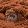 Bedsure Faux Fur Fluffy Fleece Sherpa Blanket Couch Throw Grey 50″x60″(18- Burnt Orange)