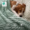 Bedsure GentleSoft Boho Throw Blanket for Couch – Cozy Modern Boho Decorative Blankets for Women Girls, Fuzzy Fleece Throw for Beds, Aesthetic Accent Gifts for Sofa Room Decor, Off White, 50×60 Inches(Sage Green)