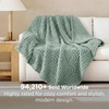 Bedsure GentleSoft Boho Throw Blanket for Couch – Cozy Modern Boho Decorative Blankets for Women Girls, Fuzzy Fleece Throw for Beds, Aesthetic Accent Gifts for Sofa Room Decor, Off White, 50×60 Inches(Sage Green)