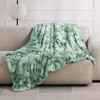 Bedsure GentleSoft Sherpa Fluffy Throw Blanket – Fleece Warm and Cozy Throw for Women Gift, Plush & Fuzzy Faux Fur Christmas Blanket for Couch, Sofa, Bed Decor, Tie Dye Design, Brown, 50×60 Inches(05 – Sage Green)