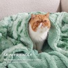 Bedsure GentleSoft Sherpa Fluffy Throw Blanket – Fleece Warm and Cozy Throw for Women Gift, Plush & Fuzzy Faux Fur Christmas Blanket for Couch, Sofa, Bed Decor, Tie Dye Design, Brown, 50×60 Inches(05 – Sage Green)