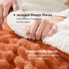 Bedsure Soft Sherpa Blanket Fluffy Throw Gift Beige 50″x60″(00 – Burnt Orange)