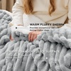Bedsure Soft Sherpa Blanket Fluffy Throw Gift Beige 50″x60″(03 – Grey)