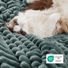 Bedsure Soft Sherpa Blanket Fluffy Throw Gift Beige 50″x60″(04 – Dark Green)