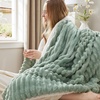 Bedsure Soft Sherpa Blanket Fluffy Throw Gift Beige 50″x60″(04 – Sage Green)