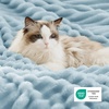 Bedsure Soft Sherpa Blanket Fluffy Throw Gift Beige 50″x60″(06 – Sky Blue)